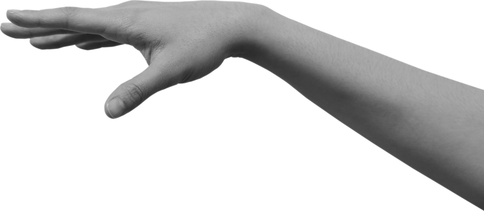 Human Hand Gesture